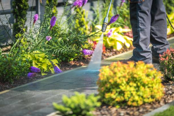 Best Boat and Dock Cleaning  in Miami Lakes, FL